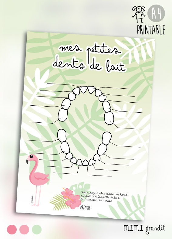 carte dents de laits bébé flamat rose a telecharger