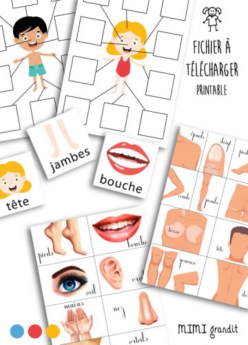 apprendre-parties-corps-a-télécharger-a-imprimer