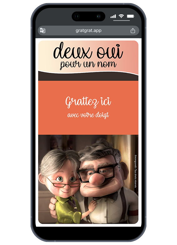 save-the-date-mariage-aventure-vieux-couple-ballons-maison