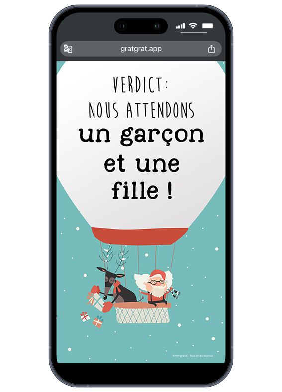 Le plus beau voyage commence cette année ! Partagez ce moment magique instantanément. Révélation genre jumeaux mixtes montgolfière de Noël : "Verdict : nous attendons un garçon et une fille !".