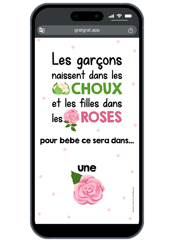 carte-virtuelle-reveal-gender-illustration-rose-fille carte-virtuelle-reveal-gender-illustration-rose-fille