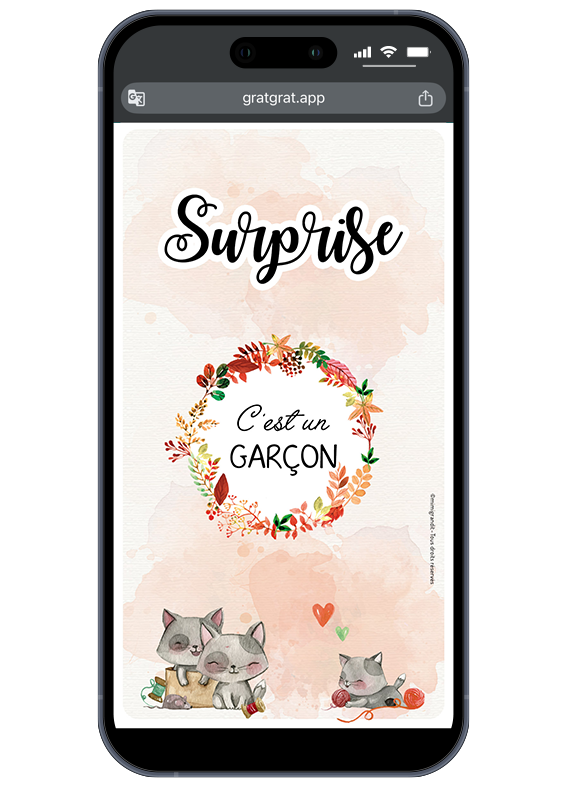 jeu-grattage-virtuel-reveal-gender-garcon-chatons jeu-grattage-virtuel-reveal-gender-garcon-chatons
