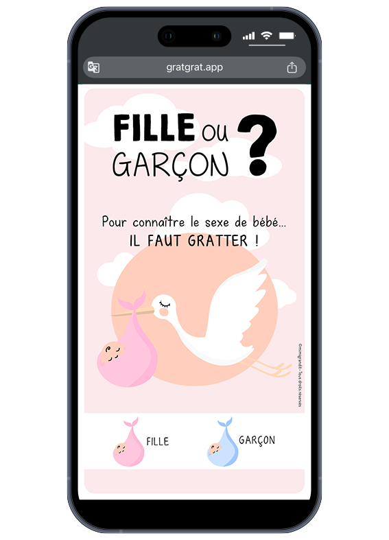 carte-annonce-sexe-bebe-numerique-cigogne-fille-rose carte-annonce-sexe-bebe-numerique-cigogne-fille-rose