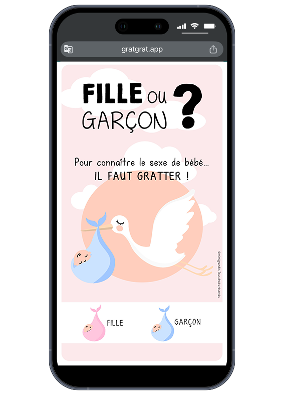 carte-annonce-sexe-bebe-numerique-cigogne-garcon-bleu carte-annonce-sexe-bebe-numerique-cigogne-garcon-bleu