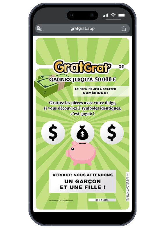 reveal-gender-numerique-cochon-argent-fille-et-garcon-jumeaux reveal-gender-numerique-cochon-argent-fille-et-garcon-jumeaux