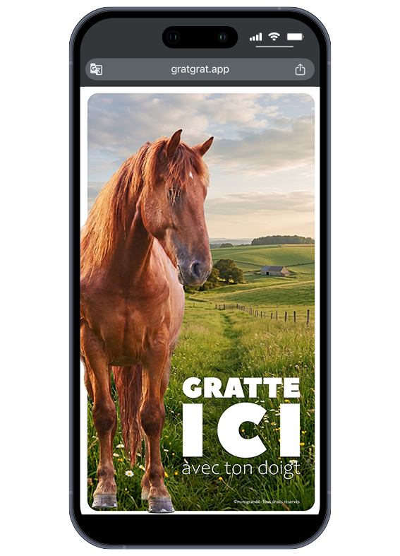 Invitation anniversaire cheval numérique à gratter personnalisable sur téléphone